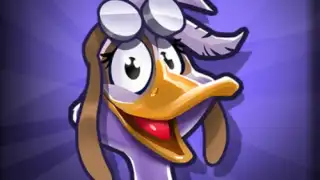 Wild Goose