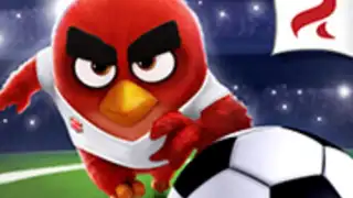Angry Birds Goal!