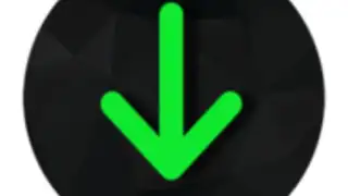 Download Manager Pro