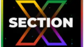 XSection