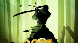Shadow Fight 2