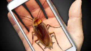 Cockroach Hand Funny Joke