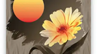 Better Life