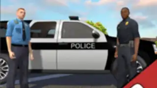 Police Cop Simulator. Gang War