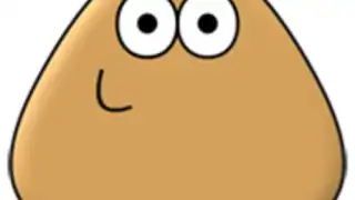 Pou