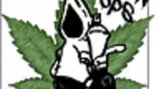 Grow Ops