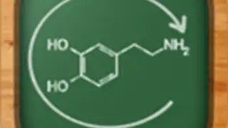 Chemistry Lab