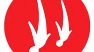 Veriflite