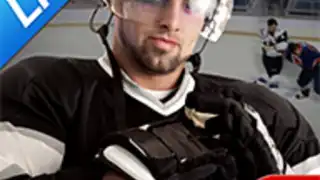 Hockey Fight Lite