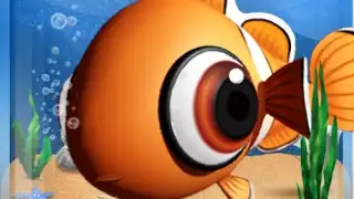 Fish Live