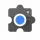 Pixel Camera Services