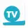 Телеканал Санкт-Петербург