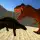 Dino Anky vs T-Rex Colloseum