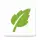 SGreen VPN