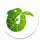 Midori Browser