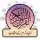 Quranic Stories Urdu