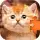 Puzzles without Internet