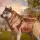 The Wild Wolf Animal Simulator