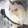 Sword Legend
