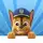 Paw Patrol Academy