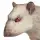 Rat Clicker