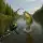 Fishing Clash