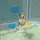 Animal Shelter Pet World Life