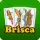 Briscados