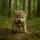 The Wolf