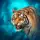 The Tiger