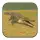 Wild Crocodile Simulator 3D