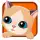 My Sweet Cat