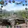 Extreme Car Drive Simulator