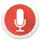 Audio Recorder