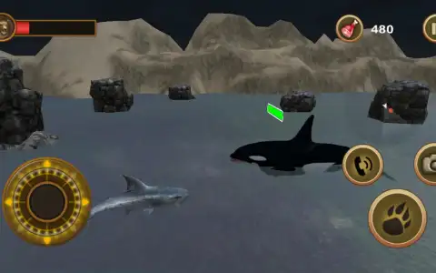 Great White Shark Survival capture 2