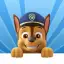 Paw Patrol Academy