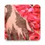 Mehndi Designs