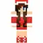 Skins For Minecraft