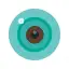 iCSee