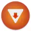 Download Videos from All Social Media - Vidzuo