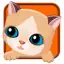 My Sweet Cat