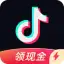Douyin Express Edition