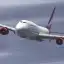 Airplane!