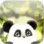 Panda Chub Live Wallpaper Free