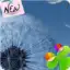 Go Galaxy S3 Theme Dandelion