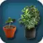 Grow Up Free Trial