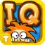 IQ Test