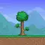 Terraria