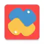 Python 3