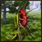 Pitcher Plant Simulator
